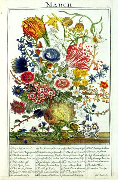 March, from 'The Flower Garden Displayed'