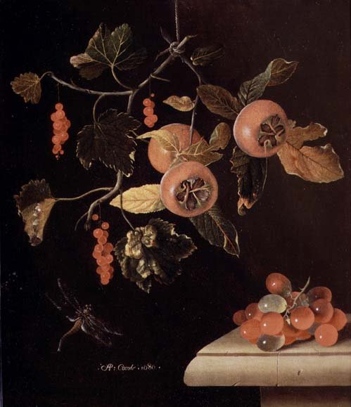 Still Life of Medlars, Redcurrants, Grapes and a Dragonfly, 1686