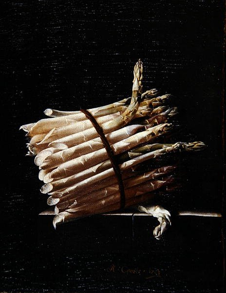 Bunch of Asparagus, 1703