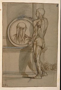 Hunter 653 Plate XVI, Anatomical drawing, c.1610