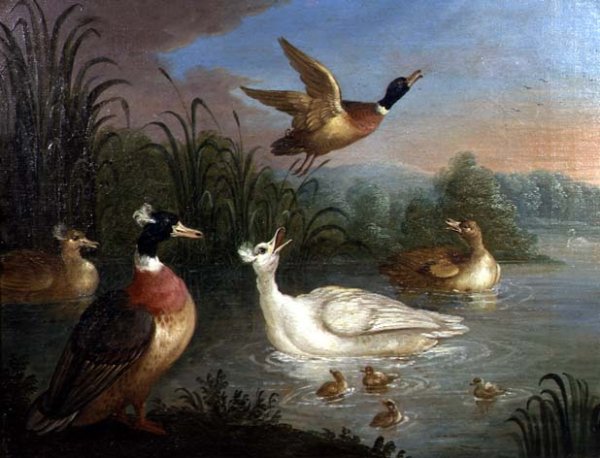 Ducks on a River Landscape