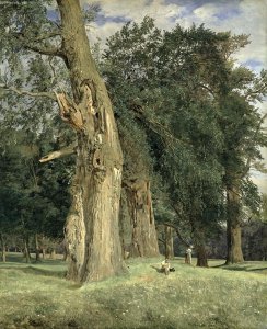 Old elms in Prater, 1831