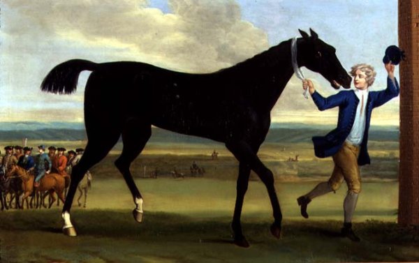 The Duke of Rutland's Bonny Black, c.1720