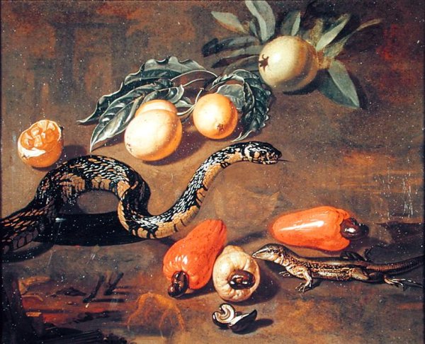 Still Life of Fruits from Surinam and Reptiles