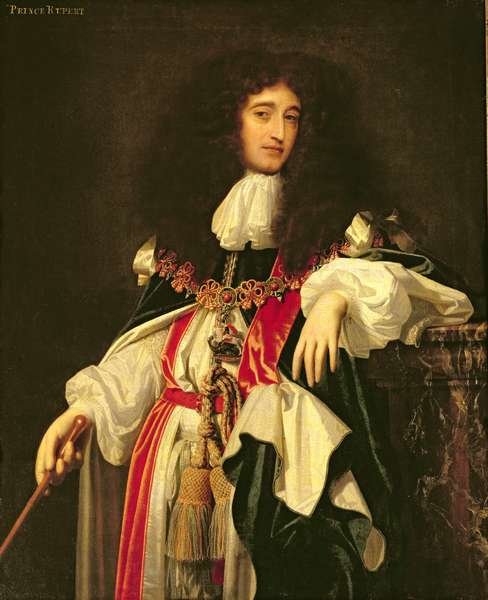 Prince Rupert of the Rhine 1619-82 in Garter Robes, 1669