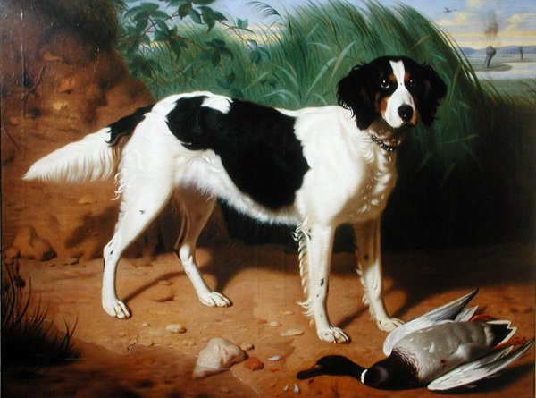 Portrait of a Dog