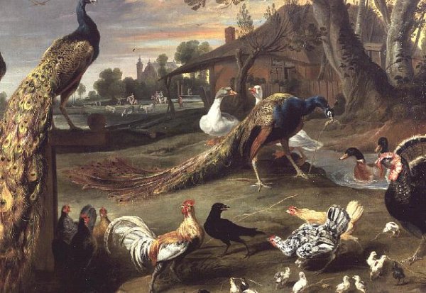 Peacock and other Birds in a Landscape