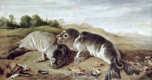 Two Young Seals on the Shore, c.1650