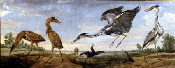 Bitterns, Herons and Water Rails in a Landscape