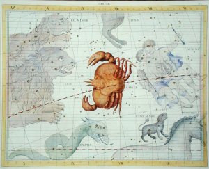 Constellation of Aquarius, plate 9 from Atlas Coelestis, by John Flamsteed 1646-1710, published in 1729