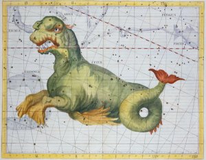 Constellation of Cetus the Whale, from Atlas Coelestis by John Flamsteed 1646-1719, pub. in 1729