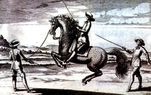 A Horse en Capriole from New Treatise for Breeding Horses written by Winters, Stuterey and Reit-Schul, engraved by the artist, pub. 1672