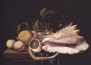 Still life with Strombus Shell and Fruit