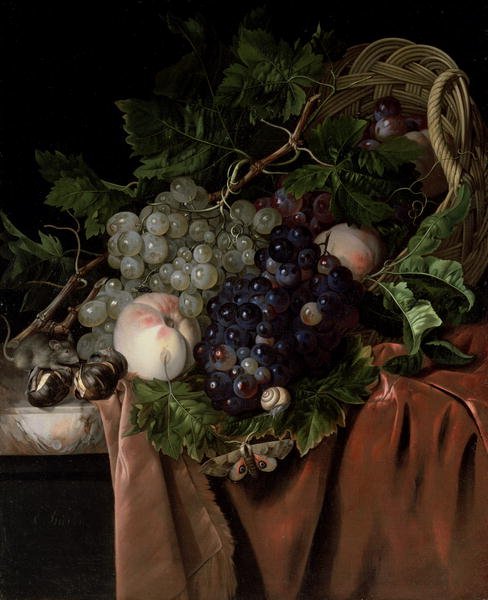 Still life with grapes, peaches, chestnuts, a butterfly and a snail