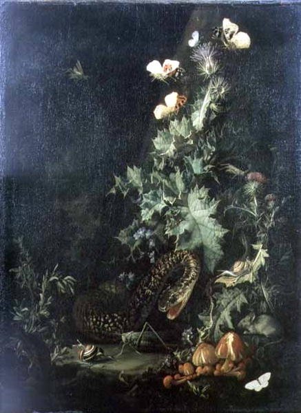 Still Life with a Snake