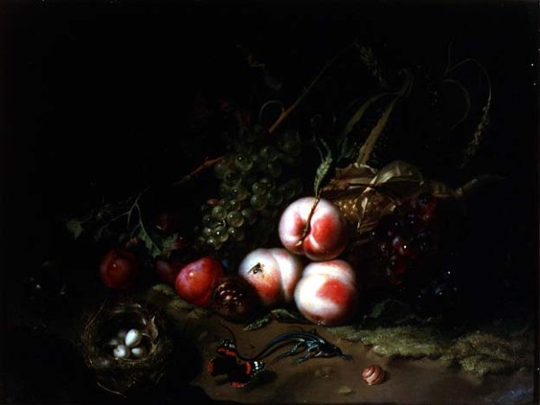 Still Life of Fruit, 1711