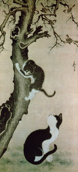 Cats, 17th century