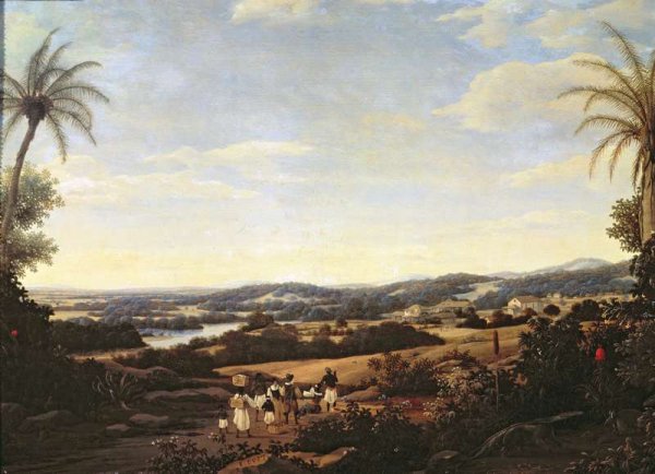 Brazilian Landscape with a Plantation