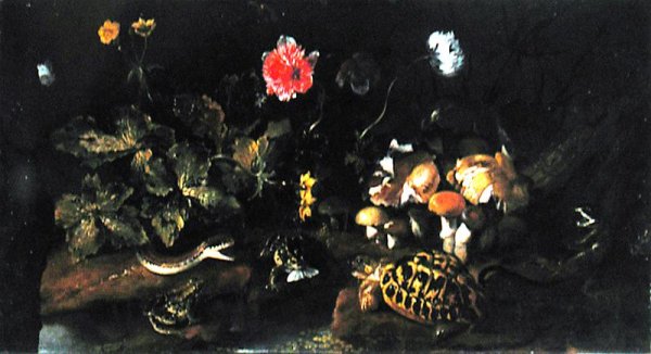 Still Life with a Snake, Frogs, Tortoise and Lizard