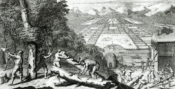 Illustration from The Reasons for establishing the Colony of Georgia by Benjamin Martyn 1699-1763, 1733