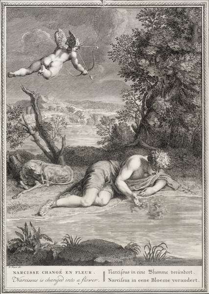 Narcissus Transformed into a Flower, 1730