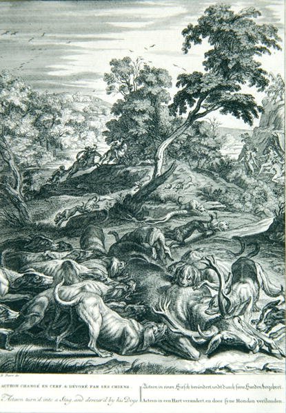 Acteon turnd into a Stag, and devourd by his dogs, 1731