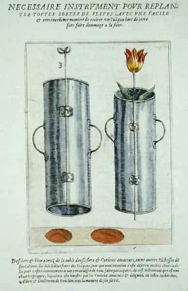 Device for re-planting flowers, from Hortus Floridus, published 1614-15