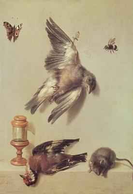 Still Life of Dead Birds and a Mouse, 1712