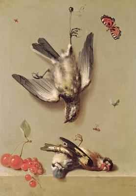 Still Life of Dead Birds and Cherries, 1712