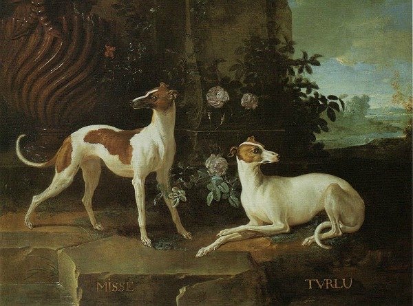 Misse and Turlu, two greyhounds of Louis XV