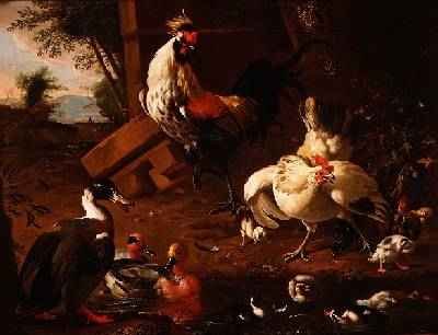 Farmyard Fowl