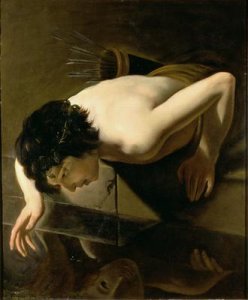 Narcissus