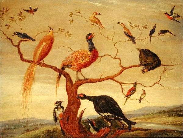 A Concert of Birds