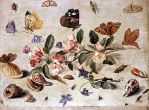 A Study of Flowers and Insects