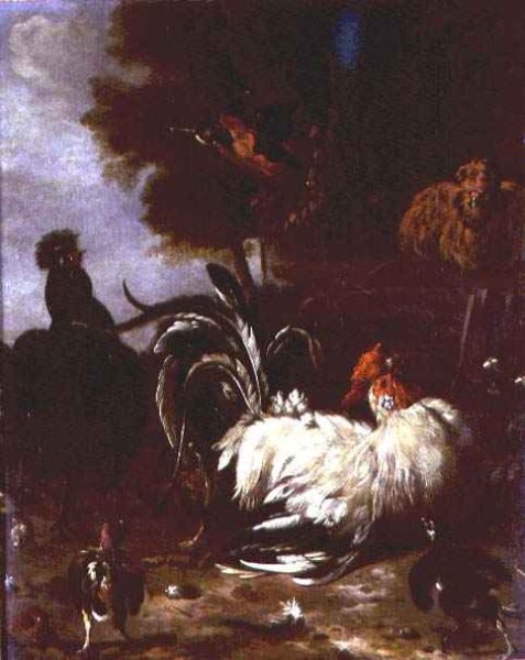 Cockerel and other poultry in wooded landscape