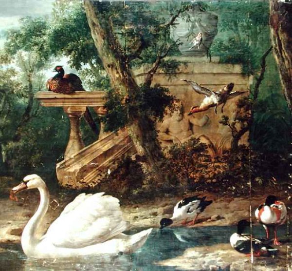 Birds in a Garden