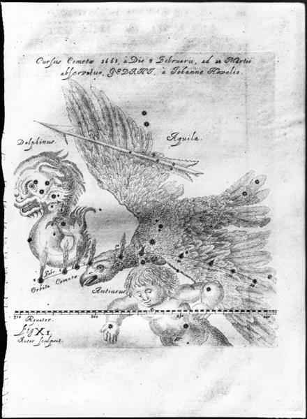 The Comet discovered and observed by Johannes Hevelius