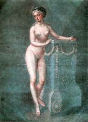 Venus the ideal anatomy