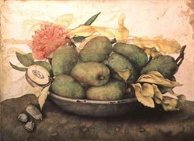 A Bowl of Pears