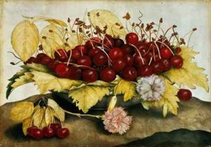 Cherries and Carnations