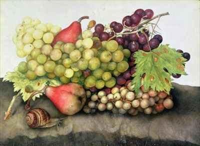 Snail with Grapes and Pears