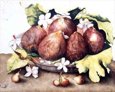 Figs on Leaves