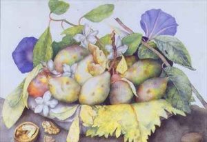 Still life with Plums Walnuts and Jasmine