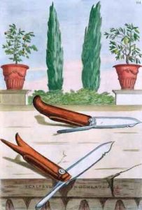 Gardening Knife