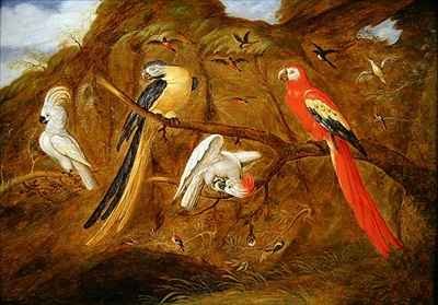 A scarlet blue and gold macaw with cockatoos and other birds in a landscape