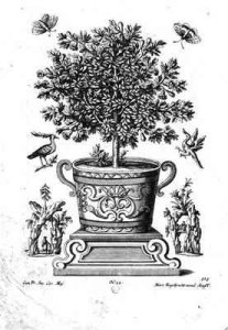 Ornamental tree in an urn on a small stage