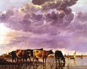 Cows in the Water 2