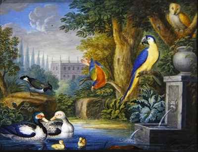 Exotic birds in an ornamental garden