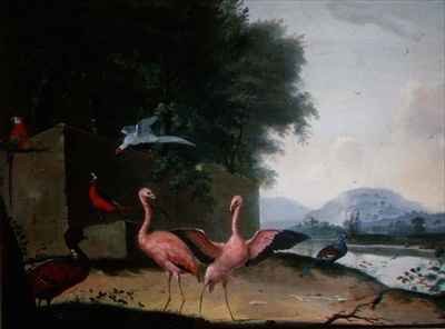 An Assembly of Exotic Birds, Including Flamingoes, Parrots and a Lady Amherst Pheasant