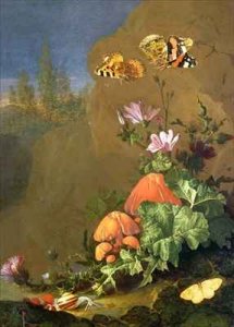 Still Life of Forest Floor with Flowers, Mushrooms and Snails